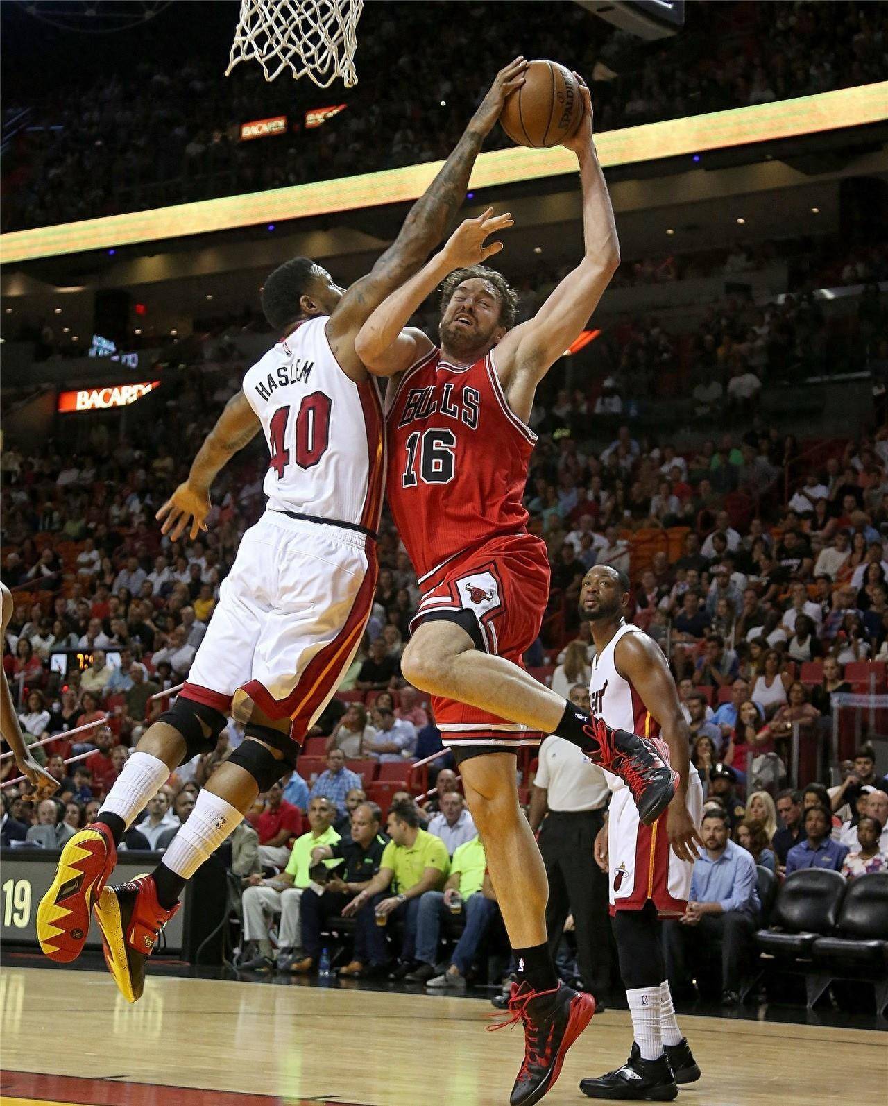 动的转变 动的转变