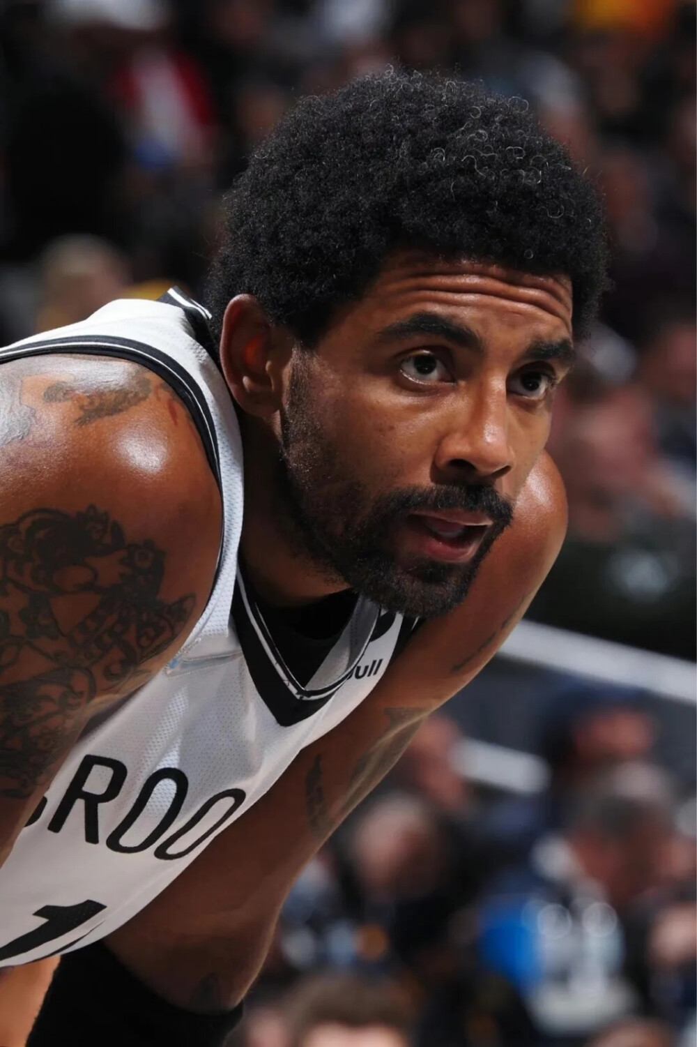 却在同一策 却在同一策